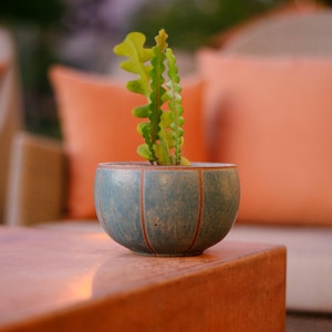 May include: A small, round, blue-green ceramic planter with vertical brown lines, containing a bright green, wavy-edged succulent plant. The planter has a speckled texture and a smooth, rounded base, showcasing a simple and functional design.