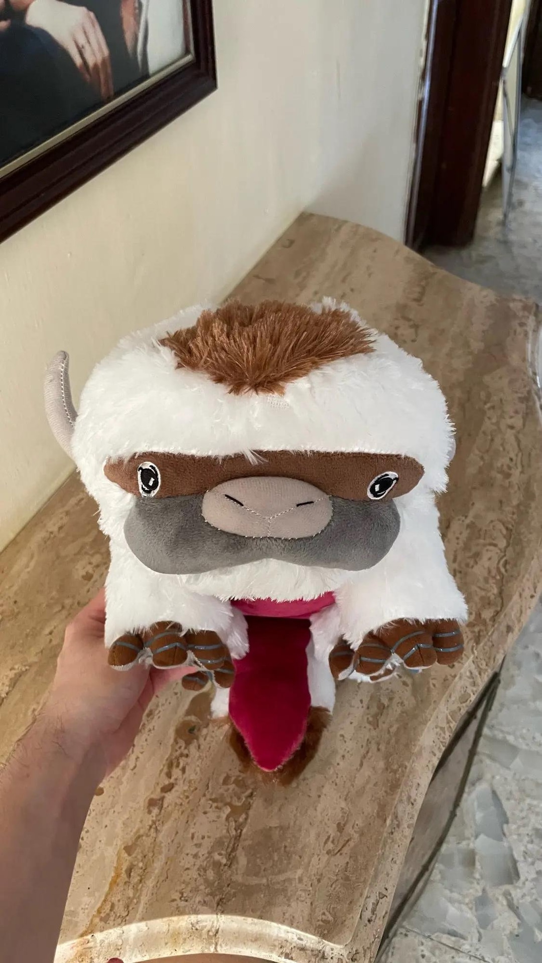 Anime Appa Plush