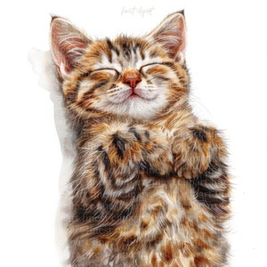 12 Sleeping Tabby Cat Clipart - Cute Tired Watercolor Cats - White Background JPG - Digital Download, Commercial Use
