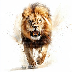 13 clipart de aquarela de leão ambulante, JPG, animal de safari majestoso, fundo branco, download digital, uso comercial