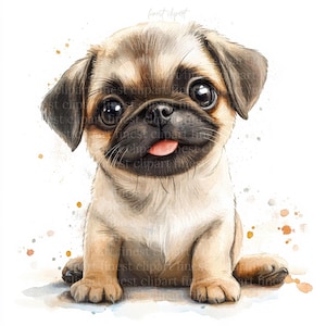 11 lindos cachorros Clipart JPG, fondo blanco, descarga digital, uso comercial