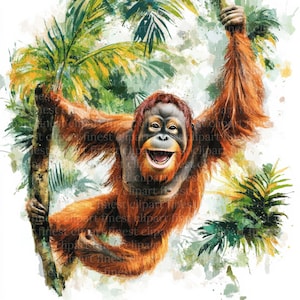 11 Schaukel Orang-Utan Dschungel Aquarell Clipart, JPG, weißer Hintergrund, glückliche lachende Orang-Utans, digitaler Download
