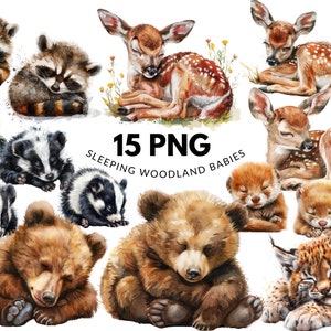 Sleepy Woodland Baby Animal Clipart Set Vol. 2: 15 PNG Files, Naturalistic Watercolor, Cute Animals, Digital Download, Commercial Use