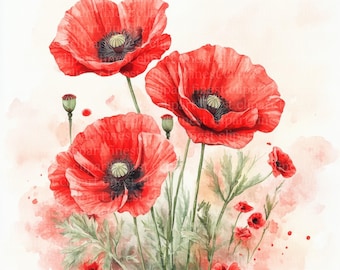 10 Poppy Bouquet Watercolor Clipart, Red Poppies Images, JPG on White Background, Digital Download, Commercial Use, Junk Journal