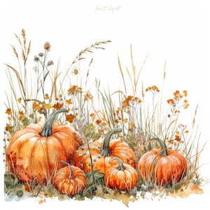 11 Kürbis Wiese Clipart, Aquarell Blumen, weißer Hintergrund, digitaler Download JPG, kommerzielle Nutzung