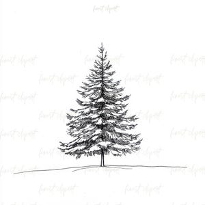 May include: A detailed black and white illustration of a fir tree. The tree is drawn with intricate lines, showcasing its needles and branches. The artwork is set against a clean white background, with the text "finest clipart" subtly repeated.