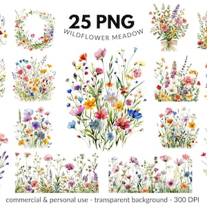 25 Wildblumen Wiese Clipart PNG Set - Sommer Ränder, Blumenstrauß und Kranz - digitaler Download, kommerzielle Nutzung, transparenter Hintergrund