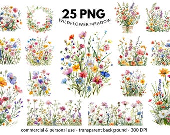 25 Wildflower Meadow Clipart PNG Set - Summer Borders, Bouquet, and Wreath - Digital Download, Commercial Use, Transparent Background