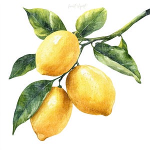 10 Imágenes Prediseñadas de acuarela de rama de limón, fondo blanco, JPG, descarga digital, uso comercial