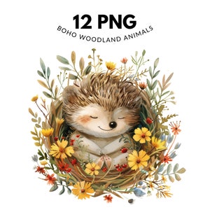 12 Boho Woodland Sleepy Animals Clipart, PNG Files, Watercolor Animals, Digital Download, Commercial Use