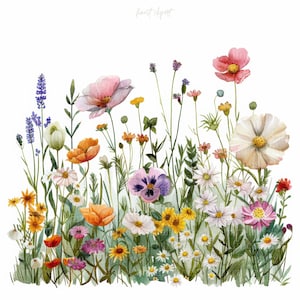 10 Wildblumen Bett Clipart JPG - Aquarell Blumen auf weißem Hintergrund - Boho Sommer Border Digital Download, kommerzielle Nutzung
