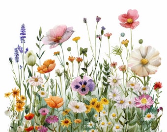 10 Wildflower Bed Clipart JPG - Watercolor Flowers on White Background - Boho Summer Border Digital Download, Commercial Use