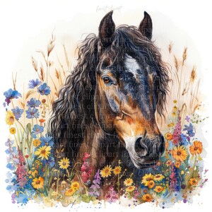 13 Horse Meadow Clipart JPG - portraits de têtes de cheval aquarelle avec fleurs sauvages sur fond blanc - téléchargement numérique, usage commercial