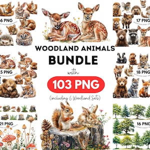 Méga lot boisé : 103 bébés animaux, arbres et éléments de la forêt mignons et somnolents, téléchargement numérique, fond transparent, usage commercial
