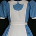 ALICE In WONDERLAND COSTUME Adult Size Custom Cosplay Disney