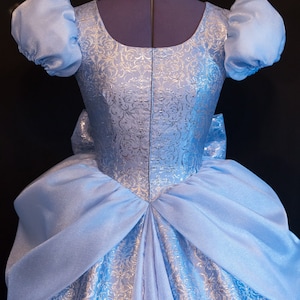 LAST ONE Cinderella Gown Costume DELUXE Adult Version Custom Cosplay Disney image 1