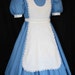 Adult Sz ALICE In WONDERLAND Deluxe Custom Costume Disney