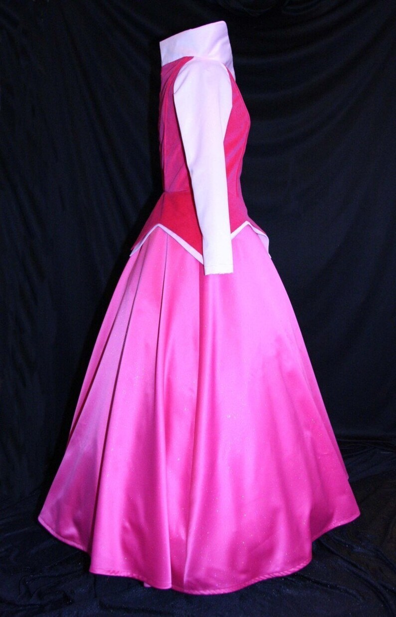 STUNNING ADULT Sleeping Beauty Aurora Costume GOWN Custom Cosplay image 4