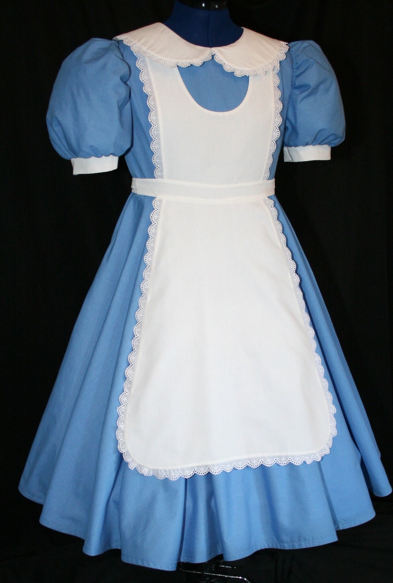 Adult Sz ALICE In WONDERLAND Deluxe Custom Costume image 1