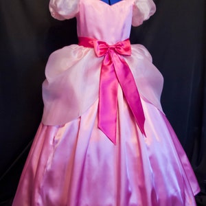 CHARLOTTE Gown Costume CHILD SIZE