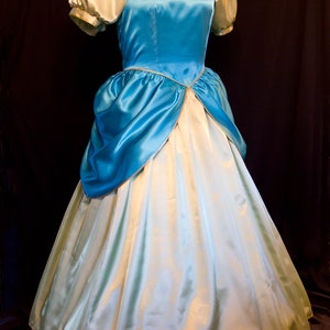 DRIZELLA Cinderella&#39;s STEPSISTER Adult Costume Gown Custom Cosplay