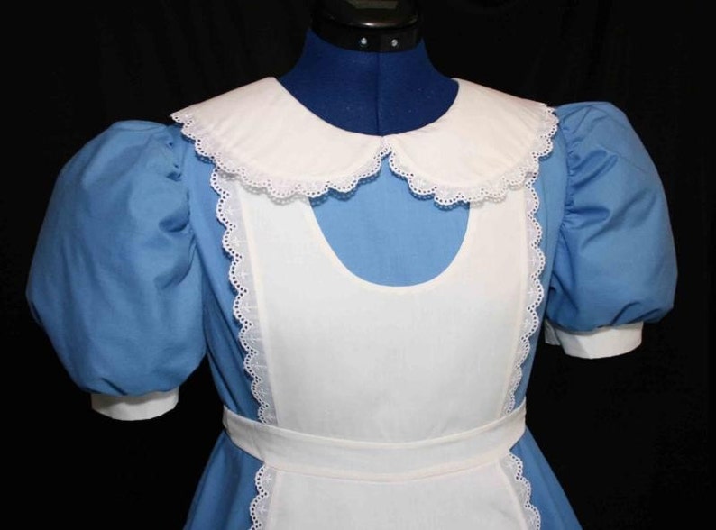 Adult Sz ALICE In WONDERLAND Deluxe Custom Costume image 2