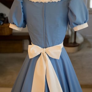 Adult Sz ALICE in WONDERLAND Deluxe Custom Costume - Etsy