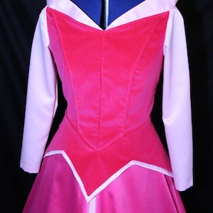 STUNNING ADULT Sleeping Beauty Aurora Costume GOWN Custom Cosplay image 2