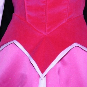 STUNNING ADULT Sleeping Beauty Aurora Costume GOWN Custom Cosplay image 3