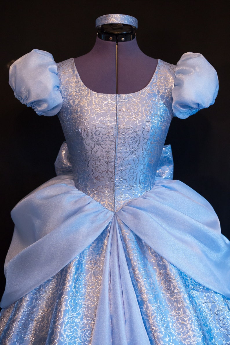 LAST ONE Cinderella Gown Costume DELUXE Adult Version Custom Cosplay Disney image 1