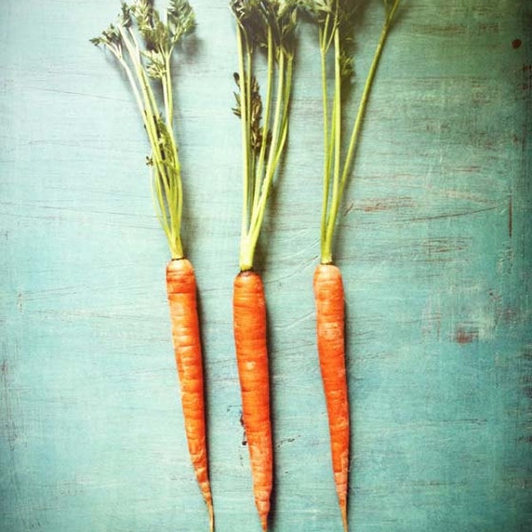 Orange aqua turquoise teal blue . kitchen wall art . fresh organic . rustic summer home decor . modern food photography . Three Carrots