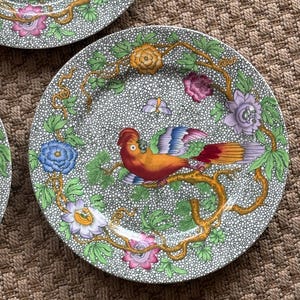 May include: A set of decorative plates featuring a bird and floral design. The plates have a speckled background with a colorful bird perched on a branch, surrounded by flowers and vines. The bird has orange, red, and blue feathers.