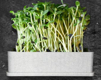 Microgreens Growing Kit/Tray - Simple/Functional/Compact/Easy Clean, Urban Gardeners/Indoors, Soil-Free/Self-Watering, All Included to Start