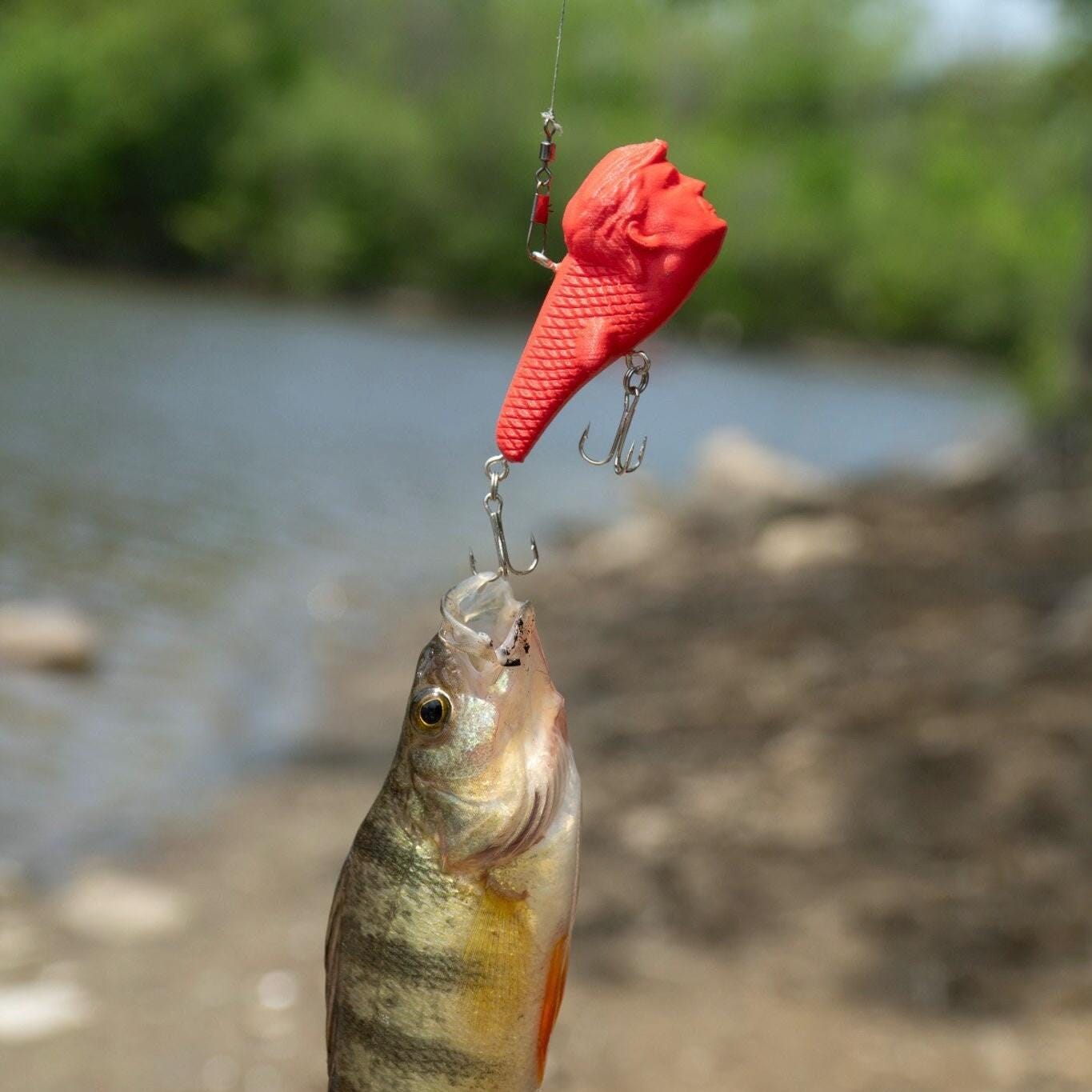 donald trump fishing lure A LIST LURES & Biden Topwater Lures Pack : Sports & Outdoors Trust me Donald Trump fishing lure with