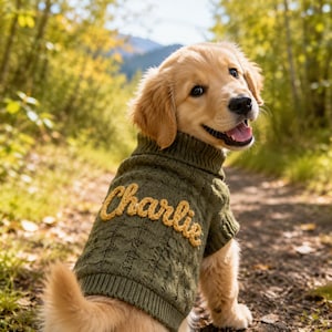 Personalisierter Hundepullover mit individuellem Namen, handbestickter Welpenpullover, kuschelige Strickkleidung für Haustiere, Geschenk für kleine Hunde, Geschenk für Hundebesitzerinnen, Geburtstagsgeschenk für Haustiere