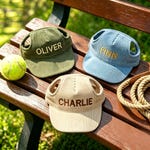 Pet Accessories