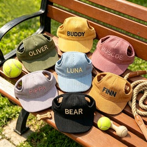 Może przedstawiać: Kolekcja sztruksowych czapek dla psów w różnych kolorach, każda z innym imieniem: Buddy, Oliver, Luna, Roscoe, Pippa, Finn i Bear. Czapki z otworami na uszy i zakrzywionym daszkiem leżą na drewnianej ławce.