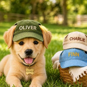 May include: A golden puppy wearing an olive green corduroy baseball cap with the name OLIVER embroidered in white. Beside the puppy, a beige cap with CHARLIE and a blue cap with FINN embroidered on them are stacked in a woven basket.