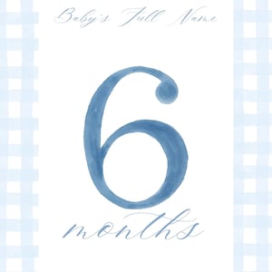 Baby Boy Milestone Cards - Blue Gingham Monthly Photo Props PRINTED
