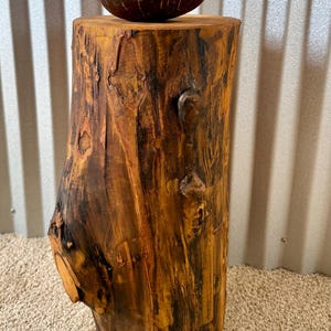 Peut inclure: Un tabouret cylindrique en bois avec une finition polie aux tons ambrés, révélant le grain naturel, les nœuds et la texture du bois. Un bol arrondi en coque de noix de coco brun foncé est posé sur le dessus plat du tabouret.