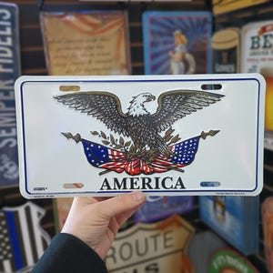 Placa de Águia da América Placas de Vaidade Patrióticas Presentes Conservadores para Homens Presentes Republicanos Sinais Patriotas dos EUA Vintage Americana