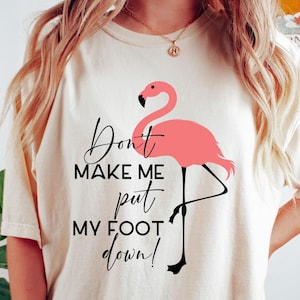 Grappig flamingo-T-shirt, Don't Make Me Put My Foot Down Flamingo Shirt, sarcastische vrouwen sweater, flamingo minnaar cadeau, schattig flamingo-T-shirt