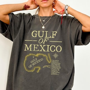 Comfort Gulf Of Mexico Stay Salty And Resist Shirt, Gulf Coast T Shirt, Anti Trump Sweatshirt, Gulf Of Mexico Gift, Mexico Lover Gift