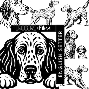 English Setter SVG Bundle | 6 Pose English Setter| Cricut, Silhouette, Laser Cut File | Dog Clipart PNG | Firebird Files