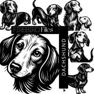 Dachshund SVG Bundle | 6 Pose Sausage Dog | Weiner Dog | Cricut, Silhouette, Laser Cut File | Dog Clipart PNG | Firebird Files