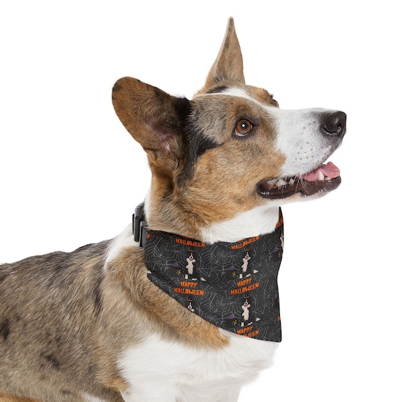 Halloween Border Collie Dog Collared Bandana - 4 Sizes - Great Gift for Dog Parents!
