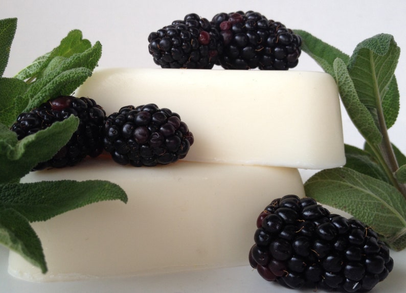 Blackberry Sage Goat's Milk Soap Set of 4 Fresh Herbal Unisex Fragrance image 1