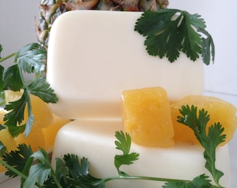 Pineapple Cilantro Goat's Milks Soap - Set of 4 - Bright Refreshing Fragrance