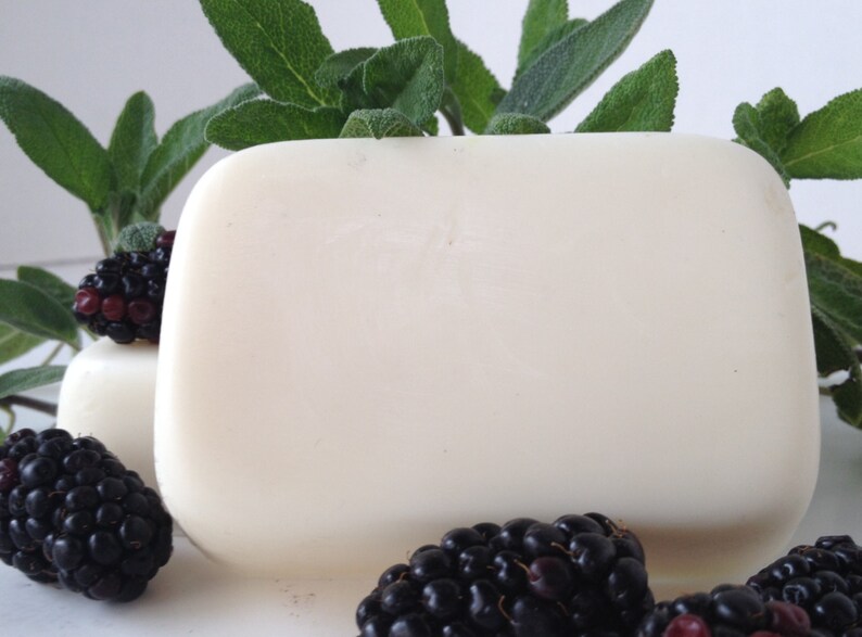 Blackberry Sage Goat's Milk Soap Set of 4 Fresh Herbal Unisex Fragrance image 4