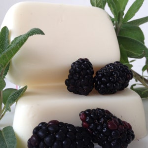 Blackberry Sage Goat's Milk Soap Set of 4 Fresh Herbal Unisex Fragrance image 2